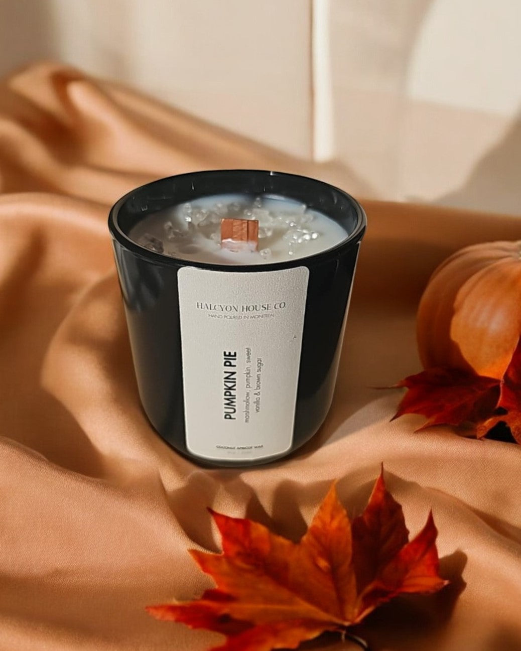 Pumpkin Pie | Toasted Marshmallow & Pumpkin Scented Candle