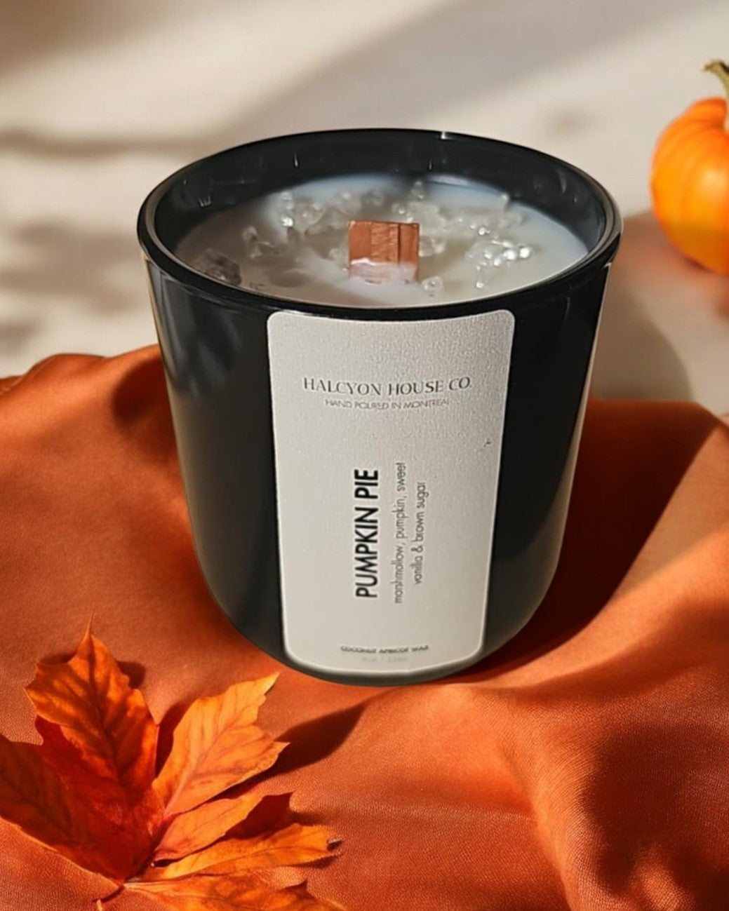 Pumpkin Pie | Toasted Marshmallow & Pumpkin Scented Candle